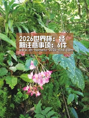 2026世界杯：经期注意事项：6件事最好少做