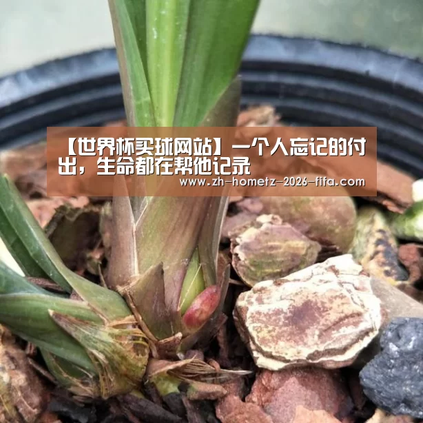 【世界杯买球网站】一个人忘记的付出,生命都在帮他记录(图1) 世界杯买球网站