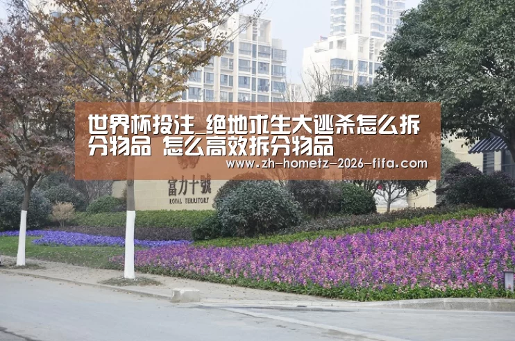 世界杯投注_绝地求生大逃杀怎么拆分物品 怎么高效拆分物品(图2) 世界杯买球网站