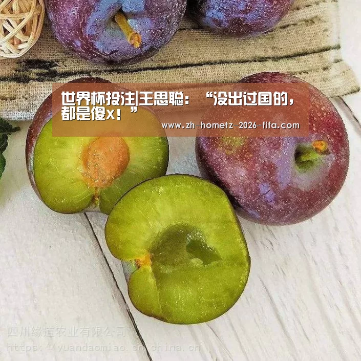 世界杯投注|王思聪:“没出过国的,都是傻x!”(图1) 2026世界杯