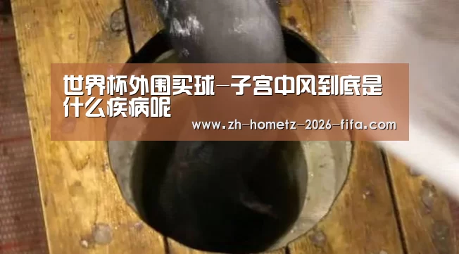 世界杯外围买球-子宫中风到底是什么疾病呢