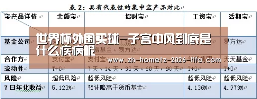 2026世界杯